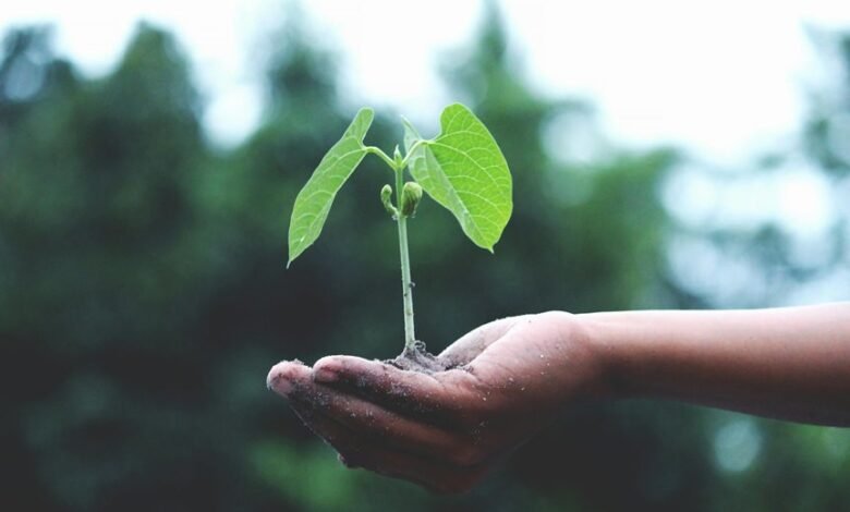 nip indian growth initiative