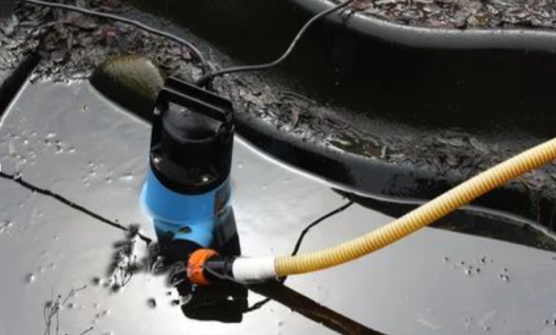 Cleaner Pond: Essential Tips for a Healthier, More Beautiful Pond