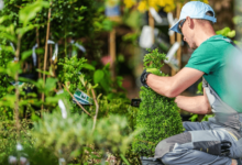 The Art of Lawn Perfection: A Guide to Green Landscaping