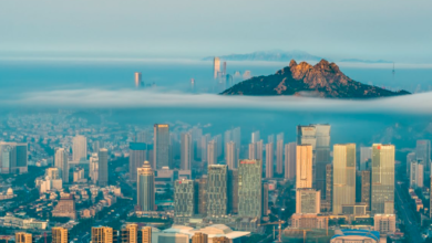 Qingdao