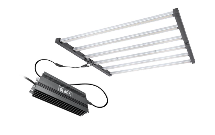 How the Lumii Black 720w LED is Redefining Indoor Growing