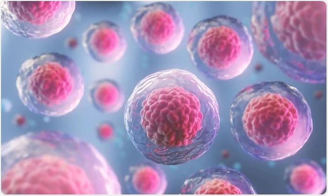 Cell Lines in Metabolic Disease and Nutrition Research