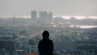 commercial analytics executive overview