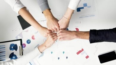 commercial analytics insights provided