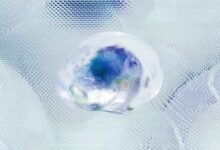 corporate data intelligence framework