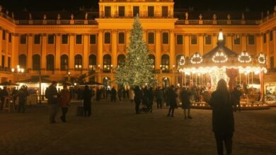 market insight strategy framework