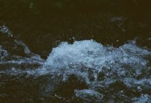 dynamic energy flow 662903742