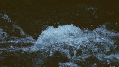 dynamic energy flow 662903742