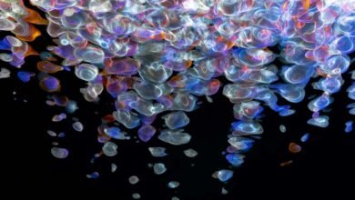 fusion beam hyper flow