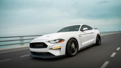 fusion bridge performance details