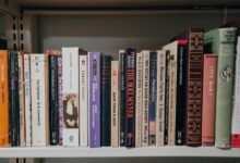 performance authority insight path