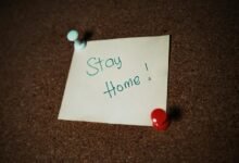 safety alerts monitoring notes