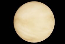 stellar path profit orbit