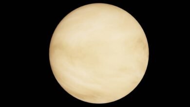 stellar path profit orbit