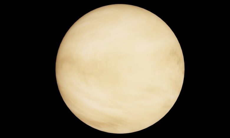 stellar path profit orbit