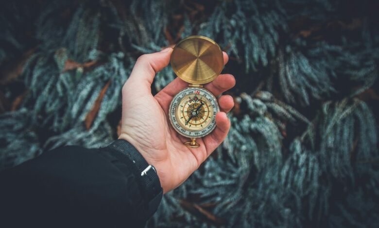 strategic analytical growth direction