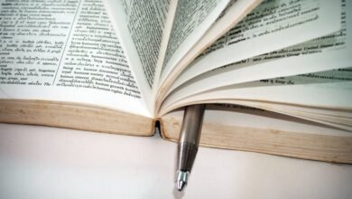 the ultimate guide summary