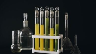 toy whit chemical likzaproz review summary