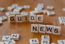 what is 242303834 guide for beginners