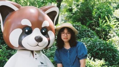 what is julietxxpanda guide overview
